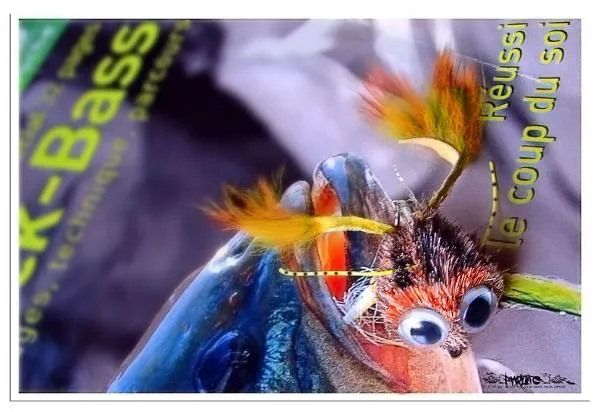 User submitted picture: the frog
My favourite fl...