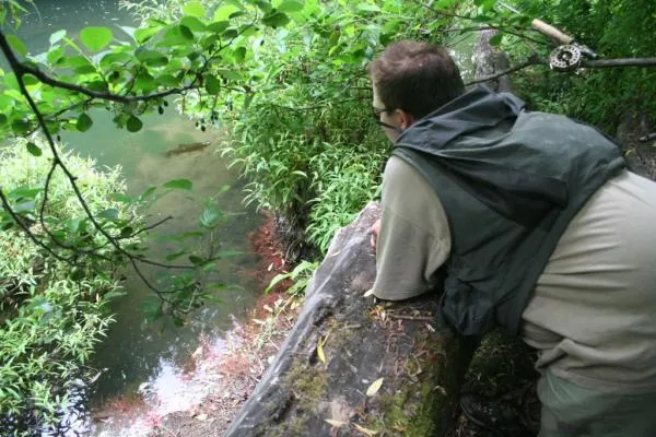 User submitted picture: Ok, now I'm excited....