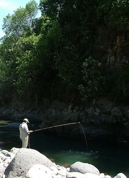 User submitted picture: Rio de Luz y Sombras