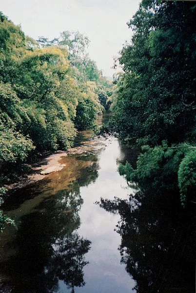 User submitted picture: A quiet river