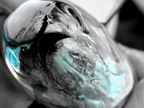 User submitted picture: The almighty Thunnus Thyn...