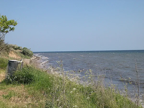 User submitted picture: My sea trout hunting grou...