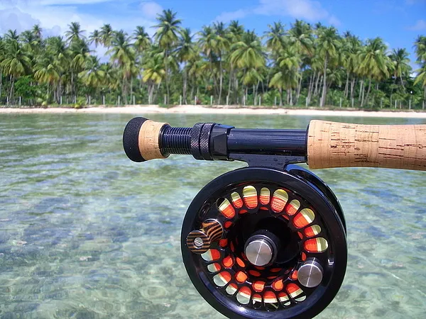 User submitted picture: "Winter" dreams......!...