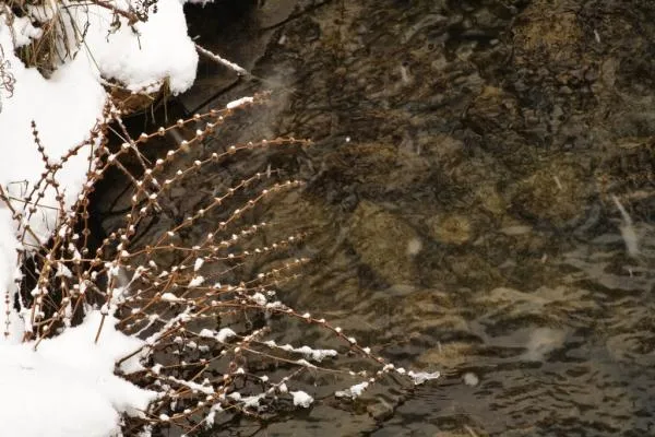 User submitted picture: winter spell (4)