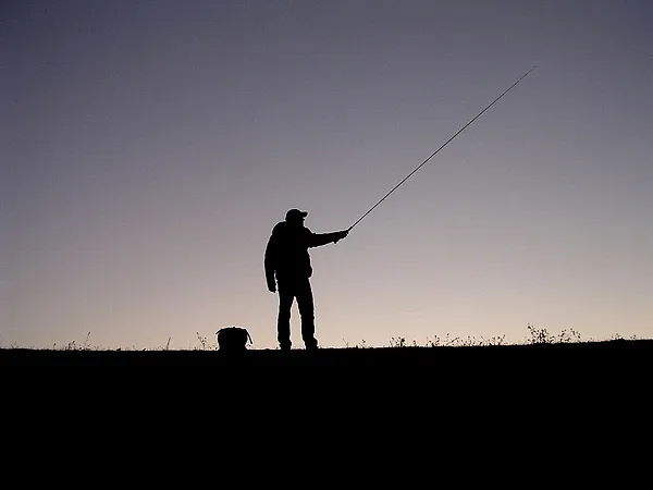 User submitted picture: Nikon Coolpix 3100
