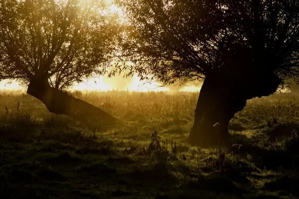 User submitted picture: Good morning ;)
