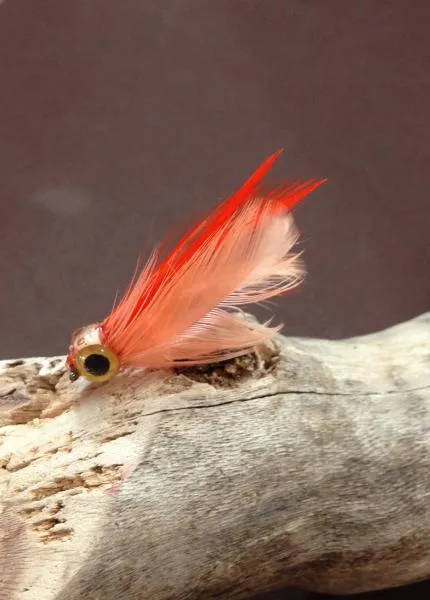 User submitted picture: The Orange Blossom is bui...