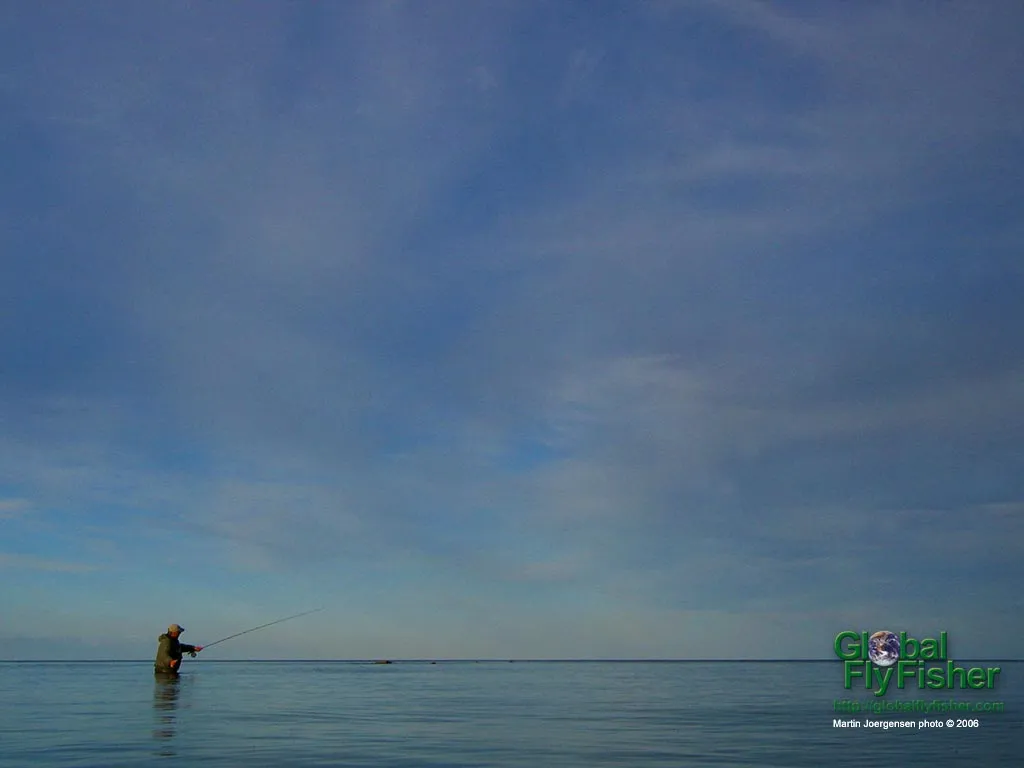 Computer screen wallpaper: Casting under a high, blue sky