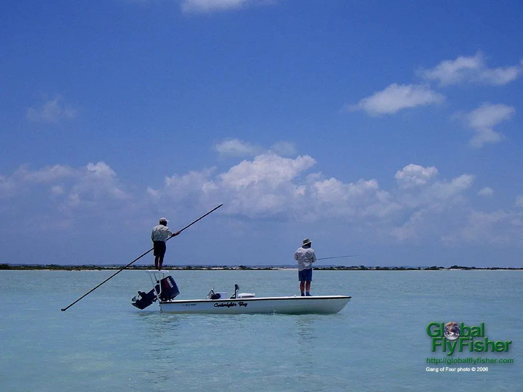 Computer screen wallpaper: Bonefish scouting on the blue flats.