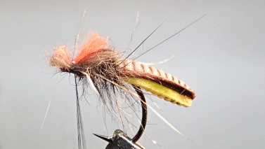 The last wraps The last wraps