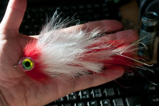 Articulated pike fly Articulated pike fly