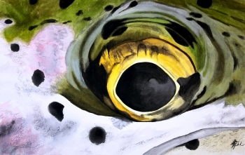 Spotted Marble Spotted Marble