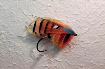 Orange Parson Orange Parson