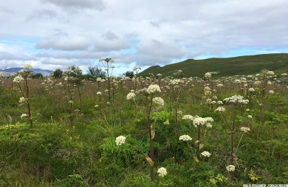 Line catchers on the bank Line catchers on the bank