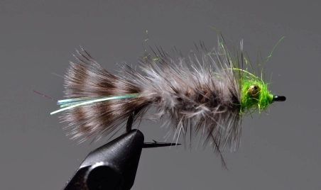 Green head Green head