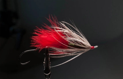 Wet Hen Intruder Wet Hen Intruder