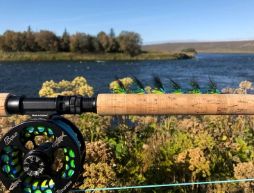 A row of Ernas A row of Ernas