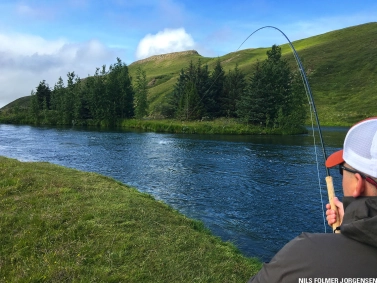 The pool Kirkjuholmskvisl The pool Kirkjuholmskvisl