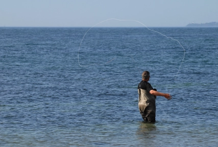 Left hand caster Left hand caster