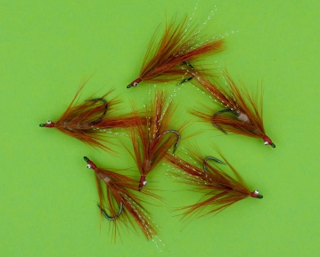 Eyes in front Eyes in front