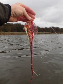 Slightly tangled Slightly tangled