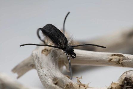 Frugal Beetle Frugal Beetle