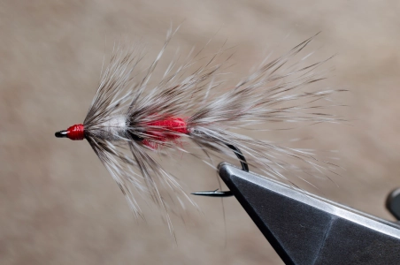 Two section Raccoon Two section Raccoon