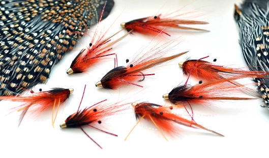 Salmon shrimps for fishing Salmon shrimps for fishing