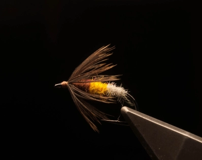 Classic wet fly hackle Classic wet fly hackle