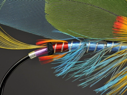 Quinchat details Quinchat details