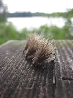 Simple dries Simple dries