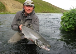 Hitch fish Hitch fish