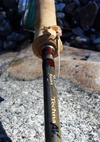 In the wild In the wild