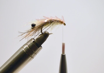 Must Shrimp - step 9 Must Shrimp - step 9