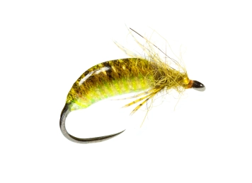 Amnesia Pupa Amnesia Pupa