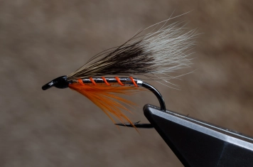 Squirrel wing Squirrel wing