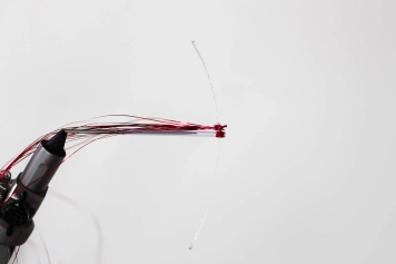 Step 7 - First bunch Step 7 - First bunch