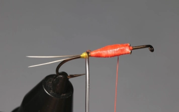 Step 5: Body shape. Step 5: Body shape.