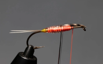 Step 6: JC feather Step 6: JC feather