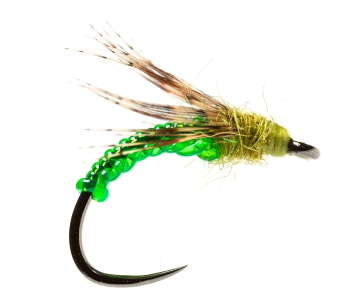 Green Genoese Green Genoese