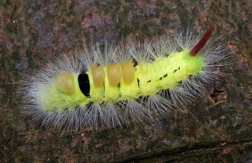 Hard to exaggerate Hard to exaggerate