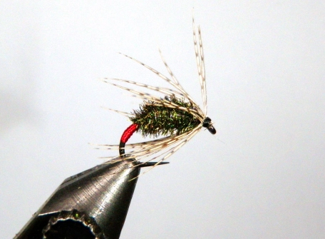 Peacock Red Tag Soft Hackle Peacock Red Tag Soft Hackle