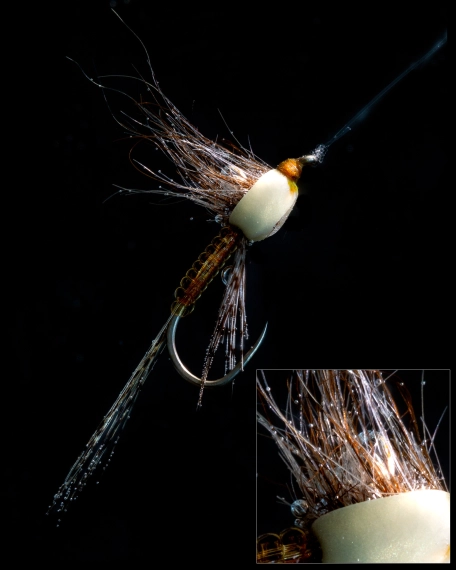 An underwater Taco An underwater Taco