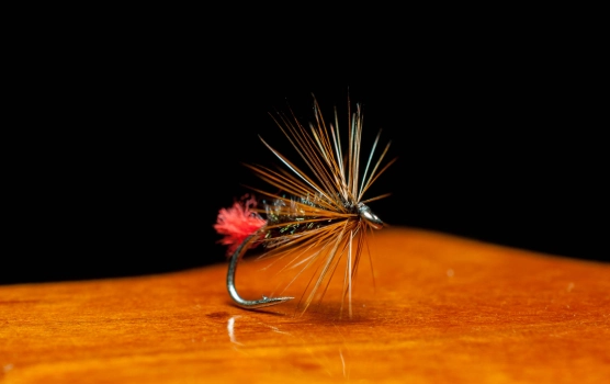 The basic Red Tag dry fly The basic Red Tag dry fly