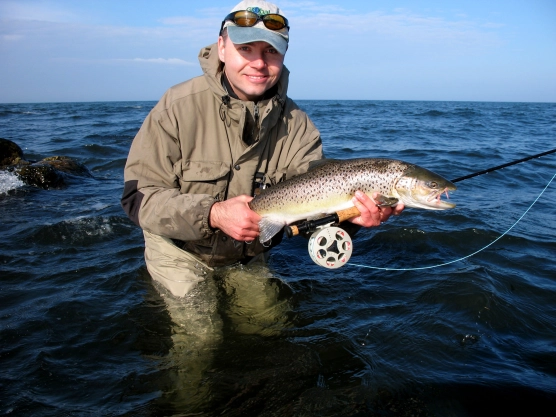 Pretty cold water fish Pretty cold water fish