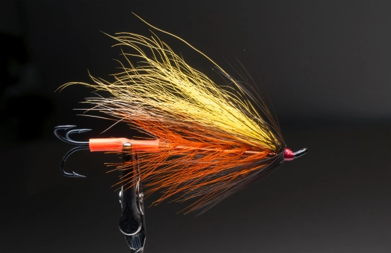 Tropical Sparrow Tropical Sparrow