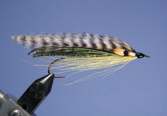 Sportsman's Say Sportsman's Say