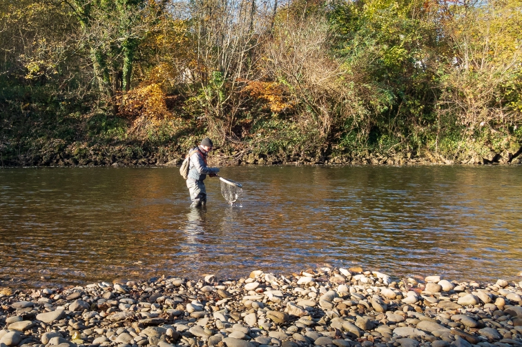 Fishing the Taff Fishing the Taff