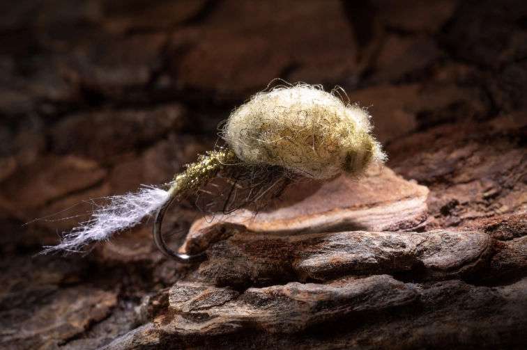 May West Emerger May West Emerger