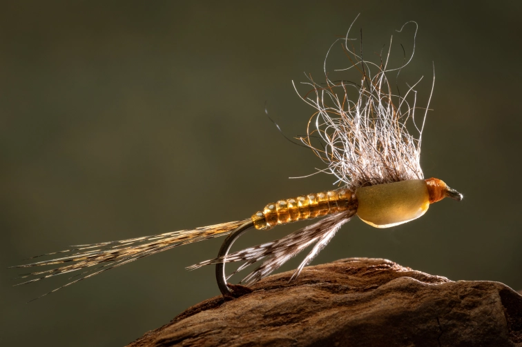 In the light In the light